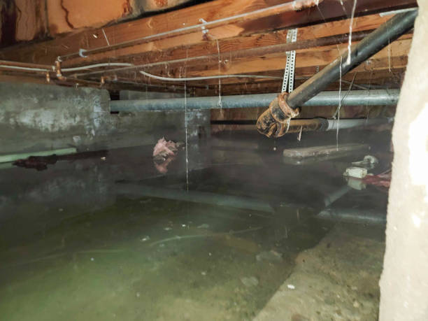 Carpet water damage restoration in Jessup, PA
