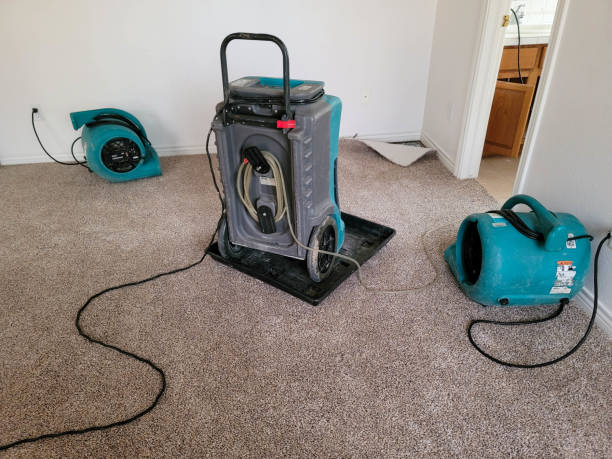 Trusted Jessup, PA Water damage restoration Experts