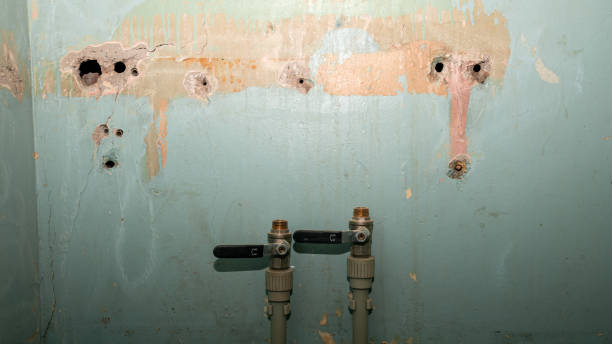Best Water damage contractors near me  in Jessup, PA