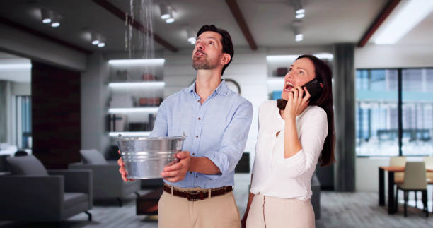 Best Water damage restoration near me  in Jessup, PA