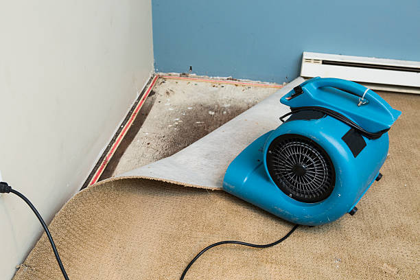Best Sewage cleanup and water damage restoration  in Jessup, PA